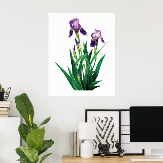 Poster Deux Iris Violets (Bureau à domicile)