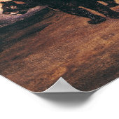 Poster Deux jaguars du Pérou (Coin)