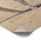 Poster Deux jeunes alpacas (Coin)