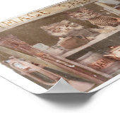 Poster Deux Kitties à vendre à l'achat (Coin)