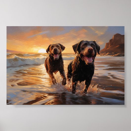 Poster Deux Labradors sur la plage (Devant)