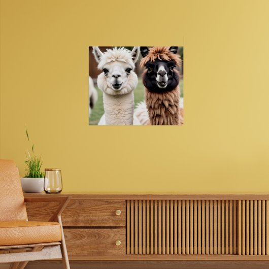 Poster Deux lamas (Salon 2)
