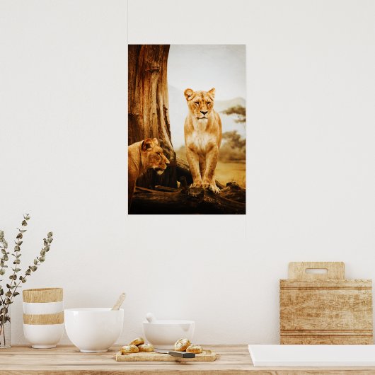Poster Deux Lioness Par Arbre (Cuisine)