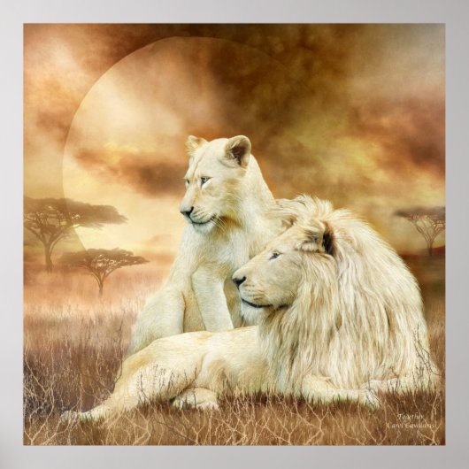Poster Deux Lions Blancs - Ensemble Poster/Imprimer (Devant)