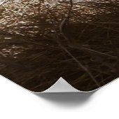 POSTER DEUX LIONS BROWN SUR LE CHAMP VERT (Coin)