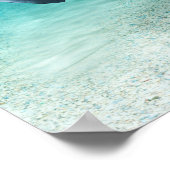 Poster Deux Manatees (Coin)