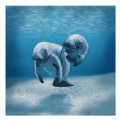 Poster Deux Manatees (Devant)