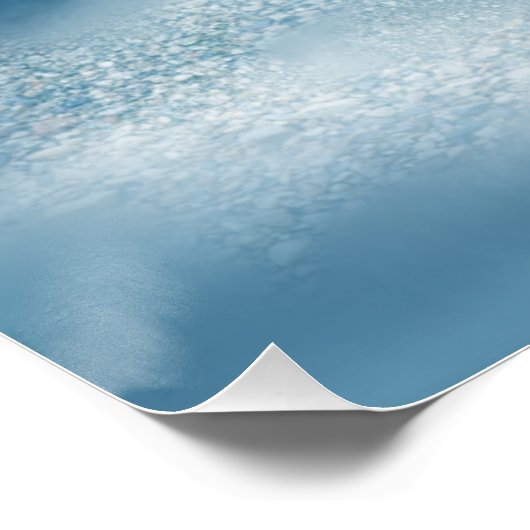 Poster Deux Manatees (Coin)