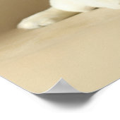 Poster Deux Marionnettes Golden Labrador (Coin)