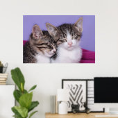 Poster Deux mignons chatons qui font la sieste (Bureau à domicile)