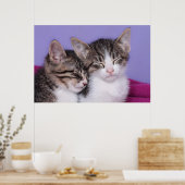 Poster Deux mignons chatons qui font la sieste (Cuisine)