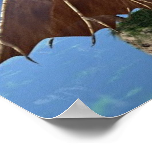 Poster Deux mondes (Coin)