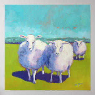 Poster Deux Moutons En Champ