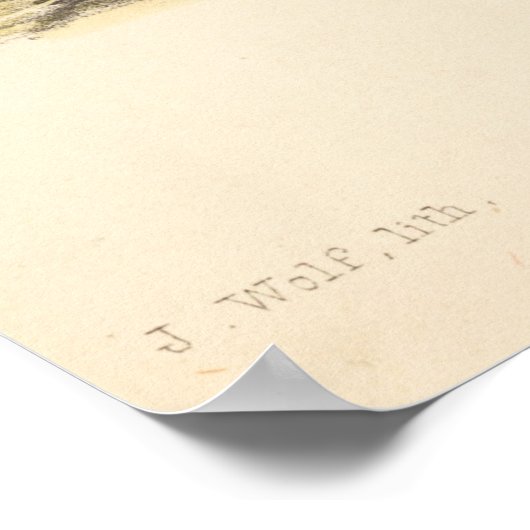 Poster Deux oiseaux (Ptilonopus Auranthfrons) par Joseph  (Coin)