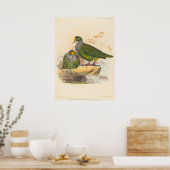Poster Deux oiseaux (Ptilonopus Auranthfrons) par Joseph  (Cuisine)