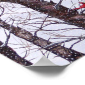 Poster Deux Oiseaux Rouges En Hiver (Coin)