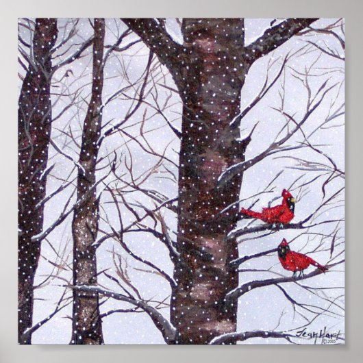 Poster Deux Oiseaux Rouges En Hiver (Devant)