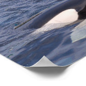 Poster Deux orques (Coin)