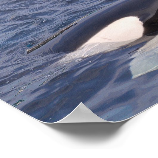 Poster Deux orques (Coin)