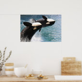 Poster Deux orques sautant hors de l'eau (Cuisine)