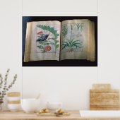 Poster Deux pages représentant le Rose et l'ail (Cuisine)