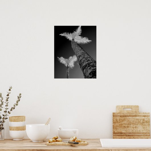 Poster Deux palmiers infrarouges. (Cuisine)