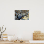 Poster Deux périphériques de type boîte emballés (Cuisine)