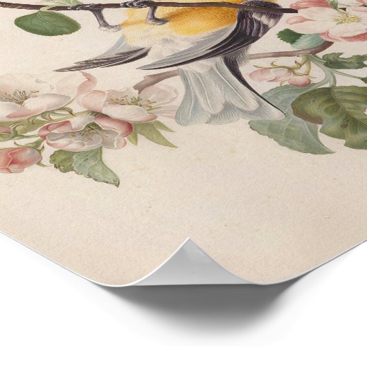 Poster Deux petits oiseaux près d'une branche de fleurs d (Coin)