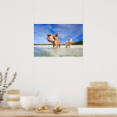 Poster Deux petits porcelets (Cuisine)