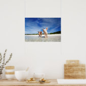 Poster Deux petits porcelets (Cuisine)