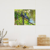 Poster Deux pigeons. Lac Roath Park, Cardiff, Pays de Gal (Cuisine)