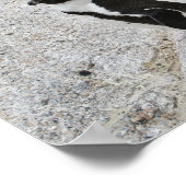 Poster Deux pingouins africains, Boulders Beach, Afrique  (Coin)