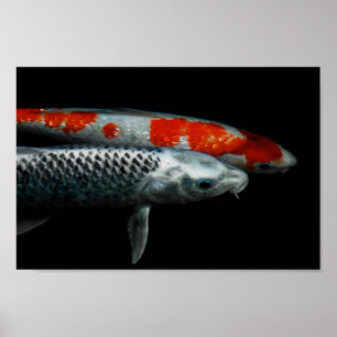 Poster Deux poissons