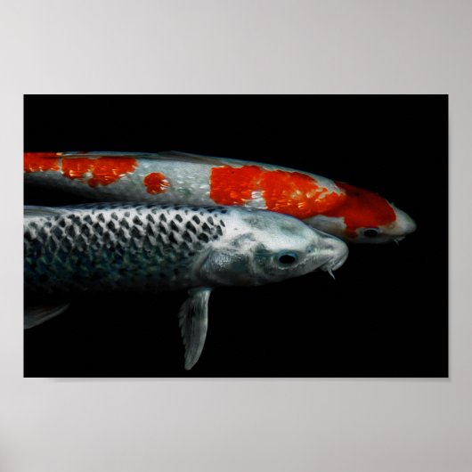 Poster Deux poissons (Devant)