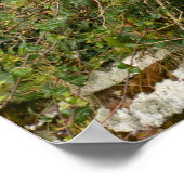 Poster Deux Pour La Joie - Des Épies Sur Un Mur (Coin)