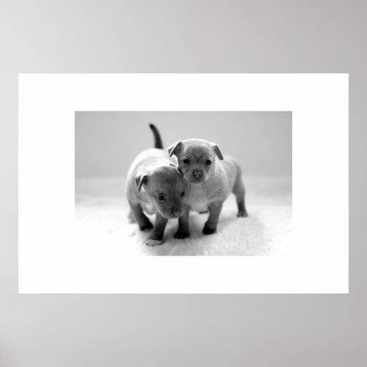 Poster Deux pour un (Devant)