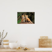 Poster Deux Pups Red Fox devant leur Den (Cuisine)