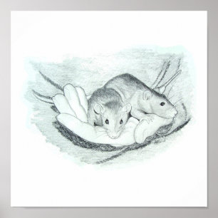 Poster Deux rats dans la main