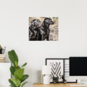 Poster Deux récupérateurs Black Labrador (Bureau à domicile)