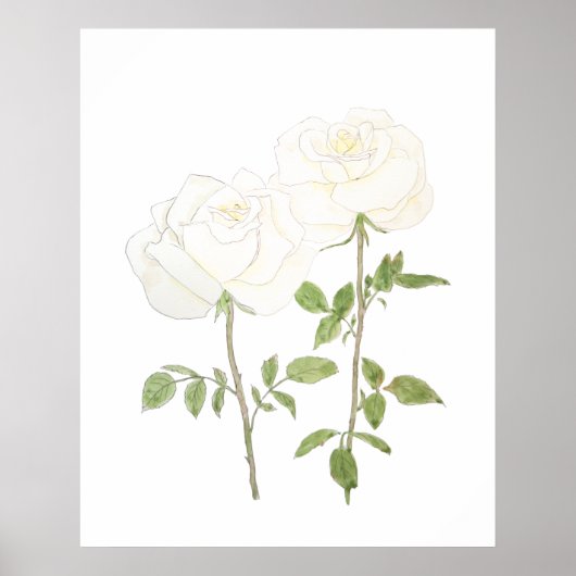 Poster deux rose blanche encre et aquarelle 2023 (Devant)