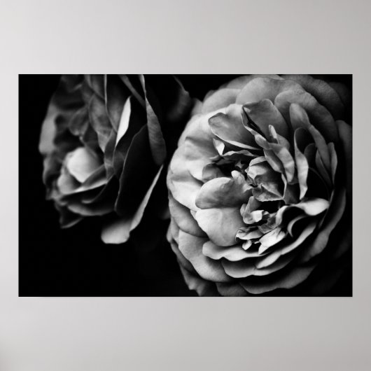 Poster deux roses (Devant)