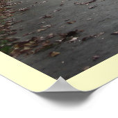 Poster Deux routes Diverge.... (Coin)