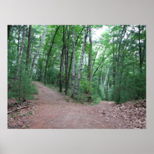 Poster Deux Routes Divergées Dans Un Bois Jaune