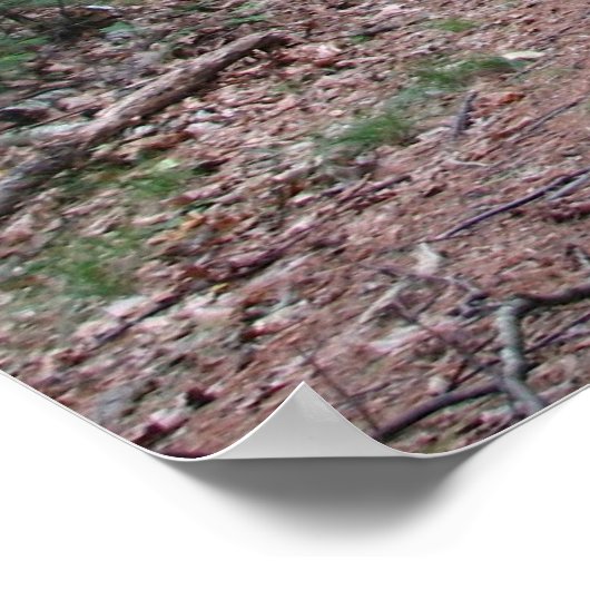 Poster Deux Routes Divergées Dans Un Bois Jaune (Coin)