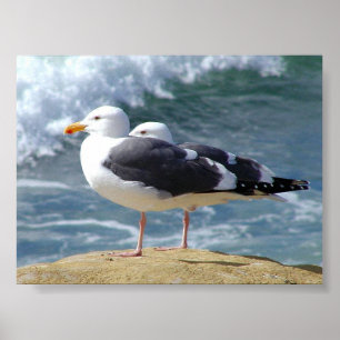 POSTER DEUX SEAGULLES OCÉANS VAGUES ROCK BEACH PHOTOGRAPH