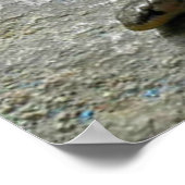 Poster Deux Serpent À Tête (Coin)