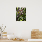 Poster Deux Singes Dans Un Arbre (Cuisine)