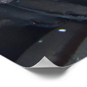 Poster Deux Snappers Spot (Coin)