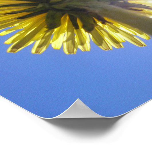 Poster Deux soleils (Coin)