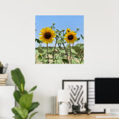 Poster Deux Sunflower bleu ciel (Bureau à domicile)